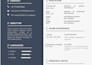 do data entry, create a professional resume and update your CV